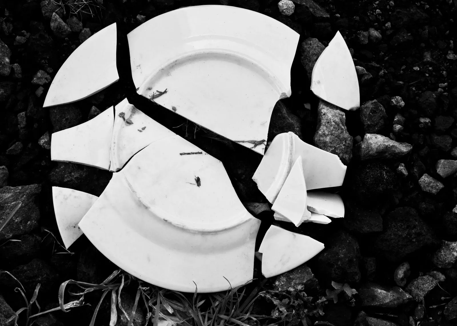 Broken plates after a move, the kind of damage a goods-in-transit insurance claim is designed to cover